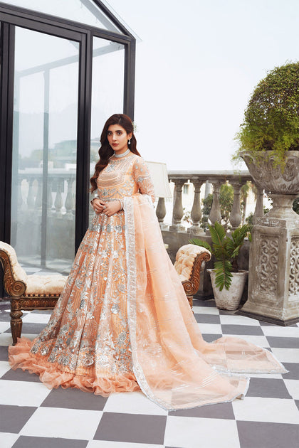 Peach Color Wedding Dress Pakistani Kr 