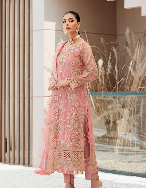 Pakistani organza dresses outlet 2018