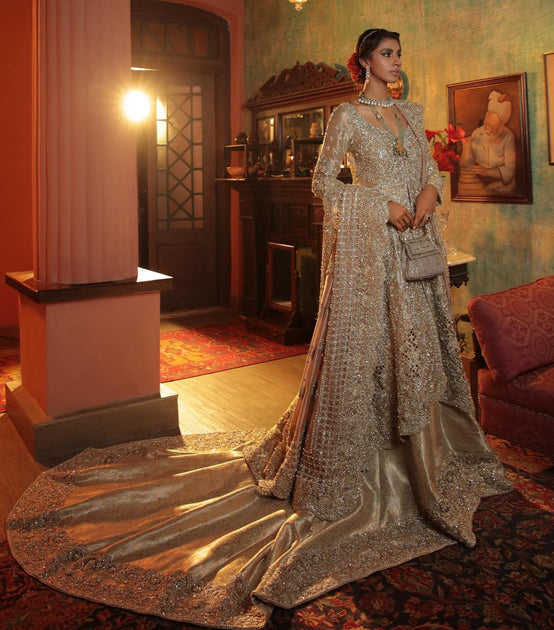 Pakistani long clearance tail gowns