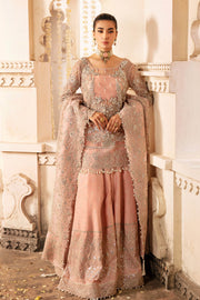 Blush Pink Embroidered Pakistani Party Dress in Kameez Sharara Style