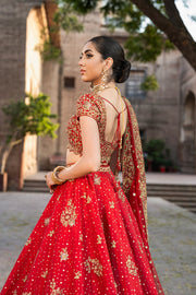 Bridal Wedding Dress in Choli Dupatta and Lehenga Style Online