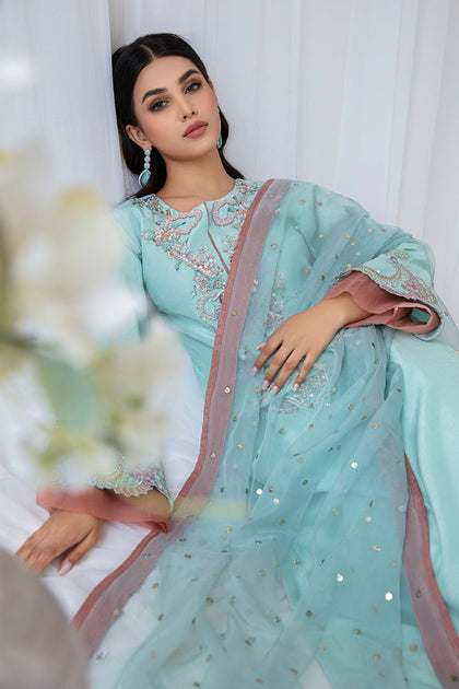 Elegant Sky Blue Pakistani Salwar Kameez Dupatta Suit – Nameera by Farooq