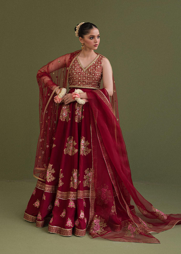 Classic Red Pakistani Wedding Embroidered Lehenga Choli Duaptta