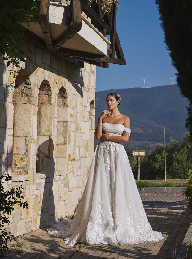 Classic Romantic silhouette A Line Gown with Off Shoulder Neckline