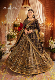 Elegant Black and Golden Luxury Embroidered Pakistani Party Wear Pishwas