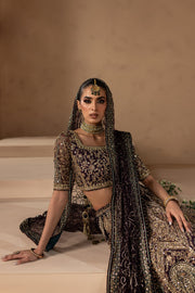 Elegant Embellished Lehenga and Choli Pakistani Bridal Dress