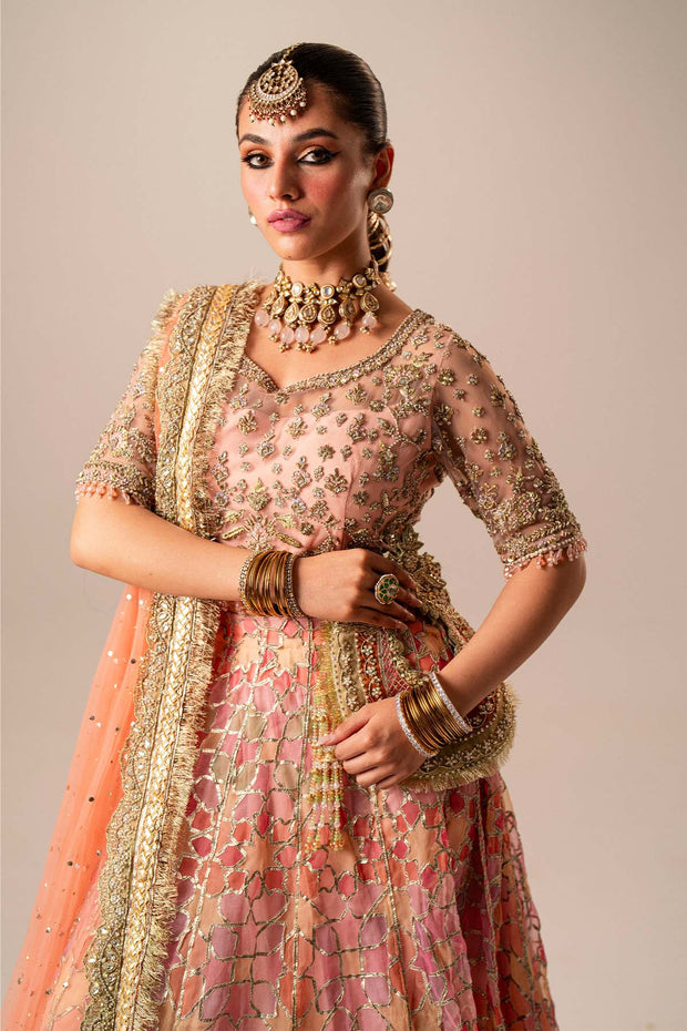 Elegant Pakistani Bridal Dress in Organza Choli Lehenga Style