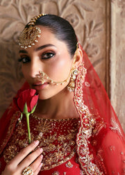 Elegant Pakistani Bridal Dress in Red Choli and Lehenga Style