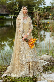 Embellished Kameez and Lehenga Pakistani Bridal Dress