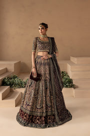 Embellished Lehenga and Choli Pakistani Bridal Dress