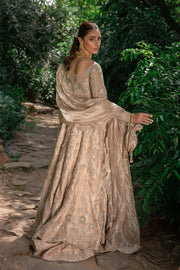 Embellished  Bridal Dress Brown Pishwas and Long Dresses