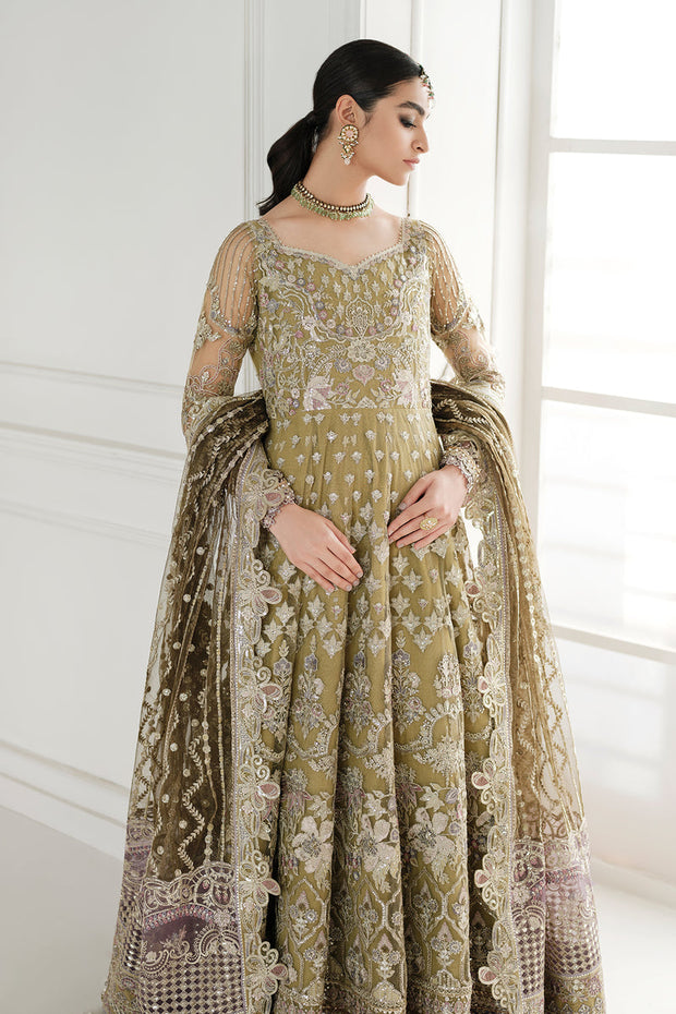 Embroidered Net Pishwas Frock Pakistani Party Dress