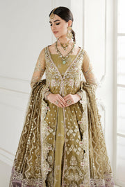 Embroidered Net Pishwas Frock Pakistani Party Wear