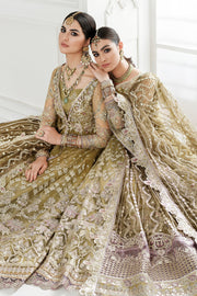 Embroidered Net Pishwas Pakistani Party Dress