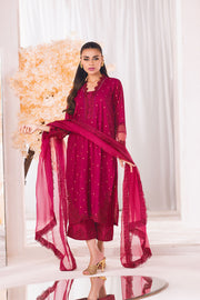 Embroidered Shocking Pink Pakistani Salwar Kameez with Dupatta Dress