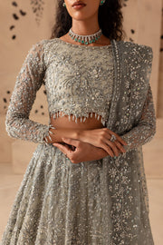 Grey Organza Lehenga Choli Pakistani Bridal Dress