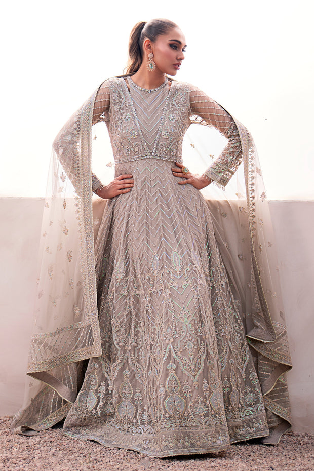 Heavily Embellished Grey Pakistani Wedding Dress in Gown Style