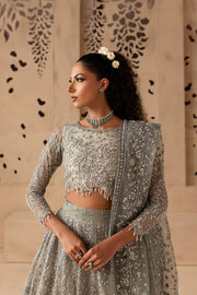 Ice Grey Organza Lehenga Choli Pakistani Bridal Wear