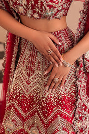 Indian Bridal Dress in Red Choli and Lehenga Style