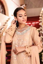 Kameez Trouser Pakistani Wedding Dress