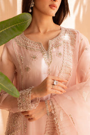 Kameez Trouser Pink Pakistani Wedding Dress