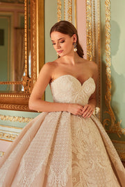 Latest Premium Long Tail Blush Princess Wedding Gown for Bride