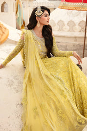 Lime Yellow Embroidered Pakistani Party Dress Pishwas Style