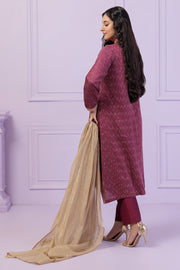 Luxury Pakistani Salwar Kameez in Shocking Pink Shade