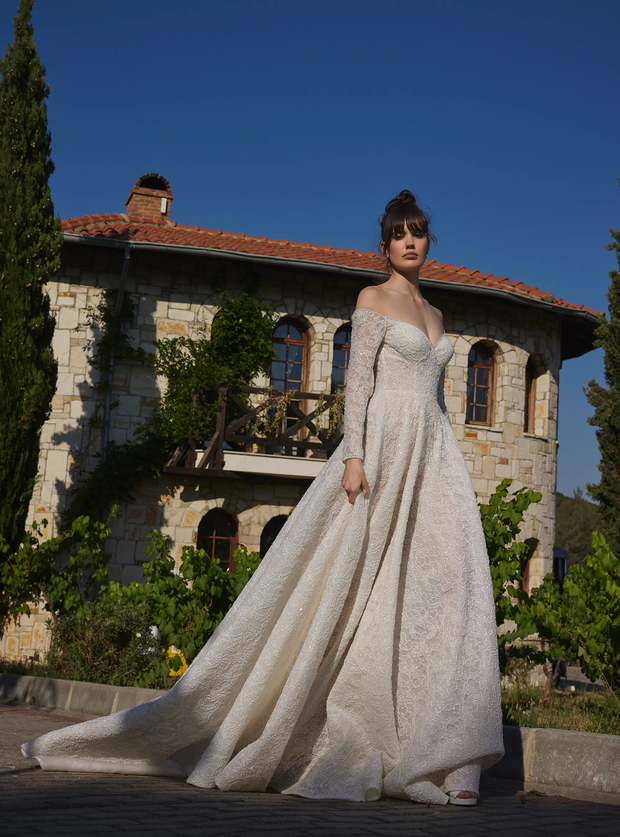 Luxury Shimmering Lace Bridal Gown with Long Sleeves