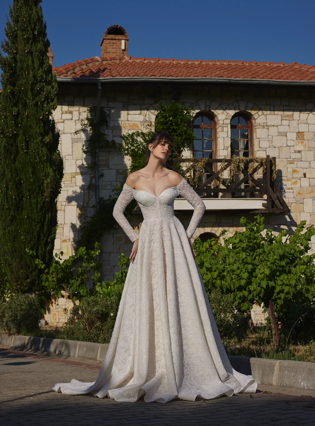 Luxury Shimmering Lace Line Bridal Gown with Long Sleeves