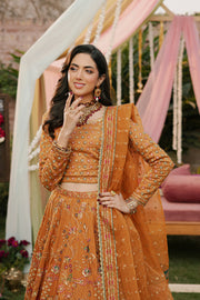 Luxury Tangerine Embroidered Pakistani Wedding Dress Choli