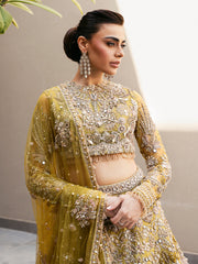 Mehndi Lehenga Choli Dupatta Pakistani Wedding Dress in Oakland