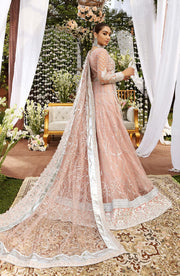 New Tea Pink Heavily Embroidered Pakistani Pishwas Wedding Dress