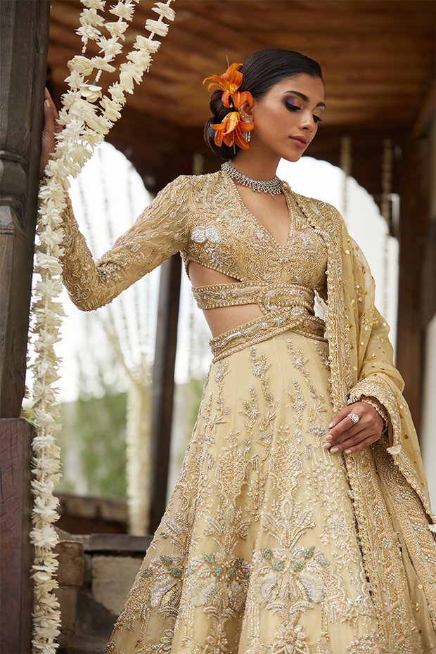 Pakistani Bridal Dress in Gown Dupatta Lehenga Style Online