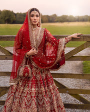 Pakistani Bridal Dress in Raw Silk Lehenga Choli Style Online