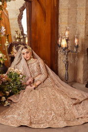 Pakistani Bridal Dress in Tissue Choli Lehenga Style Online