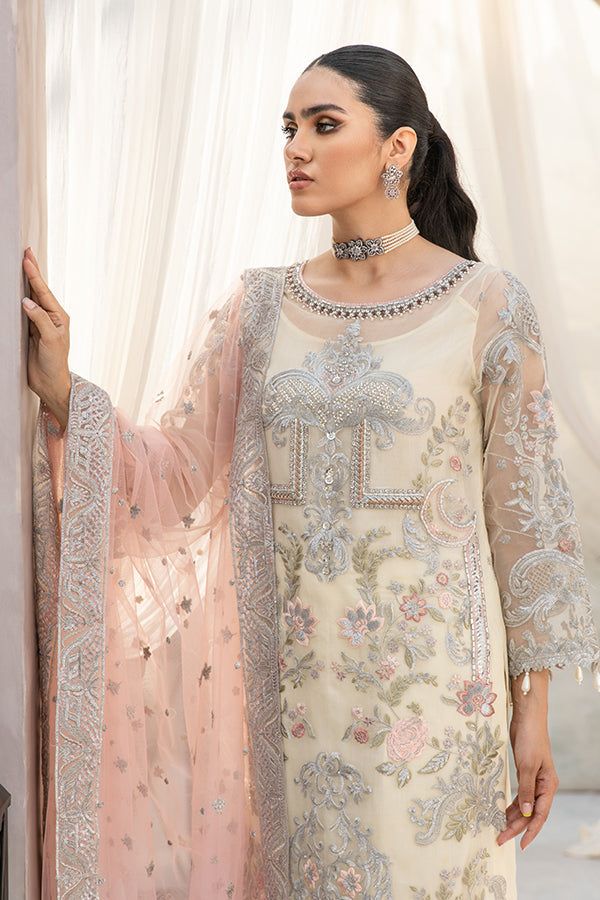 Pakistani Salwar Kameez Dupatta in Organza