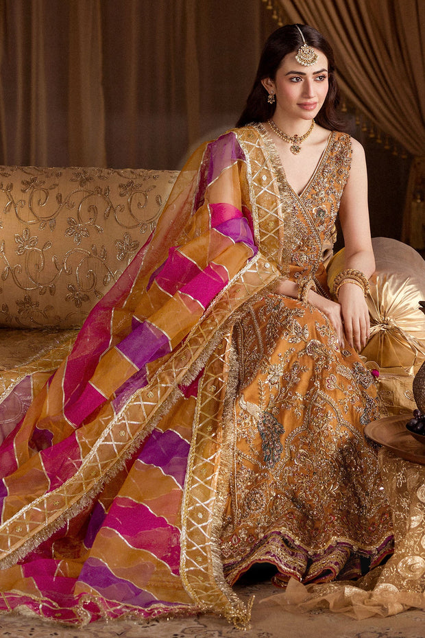 Pakistani Wedding Dress Luxury Yellow Embroidered Pishwas Frock