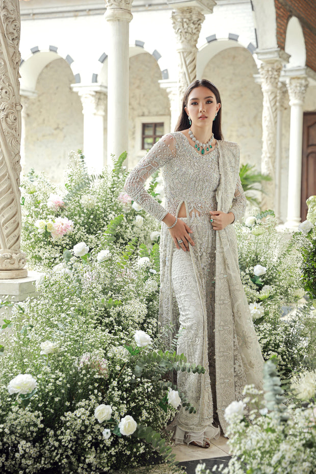 Pakistani Wedding Dress in Embellished Net Gown Style