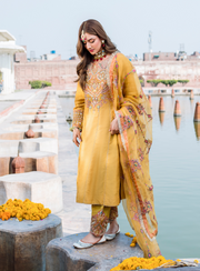 Pakistani Wedding Dress in Frock and Trouser Style