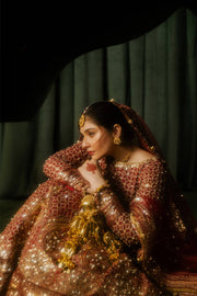 Pakistani Wedding Dress in Lehenga Choli Style