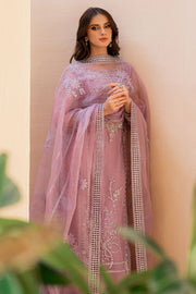 Pakistani Wedding Dress in Organza Kameez Trouser Style Online