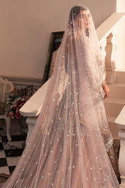 Pakistani Wedding Dress in Pink Bridal Gown Style