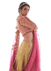 Pakistani Bridal Lehenga Rajasthani Choli Dupatta Premium Dress