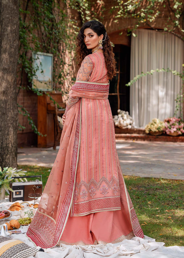 Pink Organza Kameez Dupatta and Trouser Pakistani Party Dress