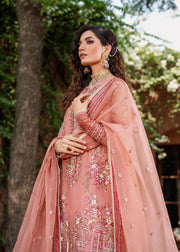 Pink Organza Kameez and Trouser Pakistani Party Dress Online