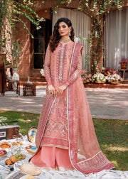 Pink Organza Kameez and Trouser Pakistani Party Dress