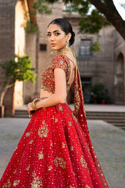 Premium Bridal Wedding Dress in Choli Dupatta and Lehenga Style