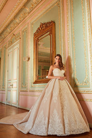 Premium Long Tail Blush Princess Wedding Gown for Bride Online