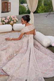 Premium Pakistani Bridal Dress in Choli Lehenga Style Online